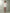 Set Aurelia Top x Flutter Skirt