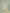 Sonata Midi Dress